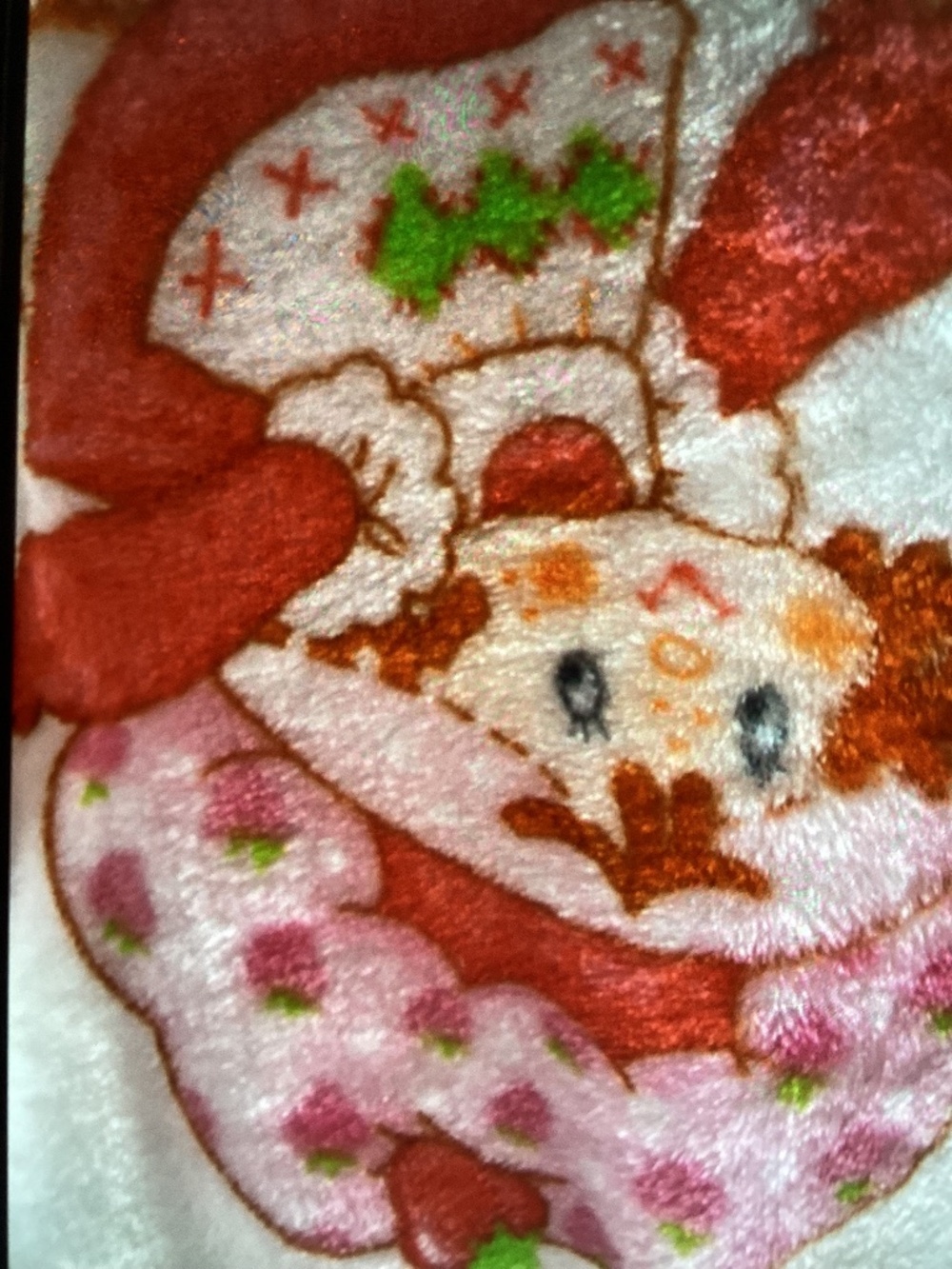 New Autumn Strawberry Shortcake and Friends Ghrow 50x70”